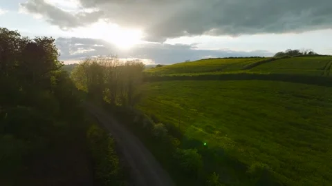 Rapeseed fields and farms from a drone, Torquay, Devon, England Video stock 274203483