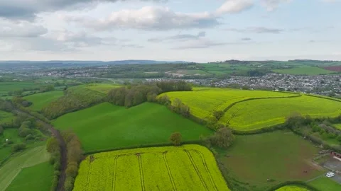 Rapeseed fields and farms from a drone, Torquay, Devon, England Stock Footage 274203686