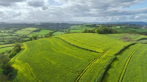 Rapeseed fields and farms from a drone, Torquay, Devon, England Stockbeeldmateriaal 274765784