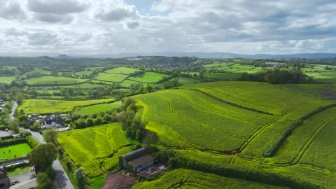Rapeseed fields and farms from a drone, Torquay, Devon, England 库存影片 274765813