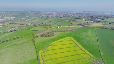 Rapeseed Fields and Farms over Torquay from a drone, Devon, England, Europe Stock-Footage 312415447
