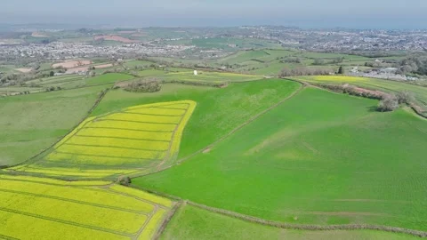 Rapeseed Fields and Farms over Torquay from a drone, Devon, England, Europe Stockbeeldmateriaal 312415452