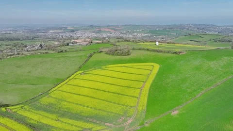 Rapeseed Fields and Farms over Torquay from a drone, Devon, England, Europe Stockbeeldmateriaal 312415459