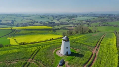 Rapeseed Fields and Farms over Torquay from a drone, Devon, England, Europe Stockbeeldmateriaal 312415489