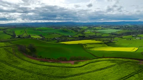 Rapeseed Fields and Farms over Torquay from a drone, Devon, England, Europe Vidéo 312443979