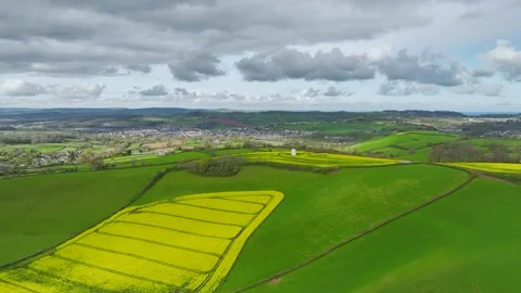 Rapeseed Fields and Farms over Torquay from a drone, Devon, England, Europe Vidéo 312444057