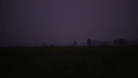 Rapeseed Fields and Moving Vehicles at Sunset, big mustard field Stock Footage 300382101