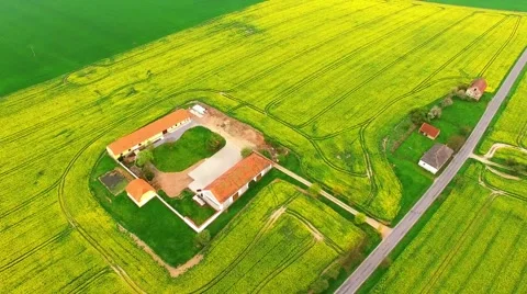 Rapeseed fields with farm house and road. Stock Footage 62775960