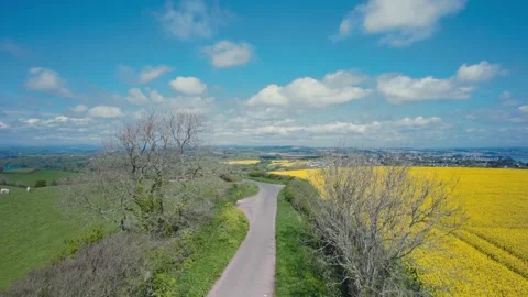 Rapeseed fields, Farmlands and River Dart from a drone, Devon, England Vidéo 190915121
