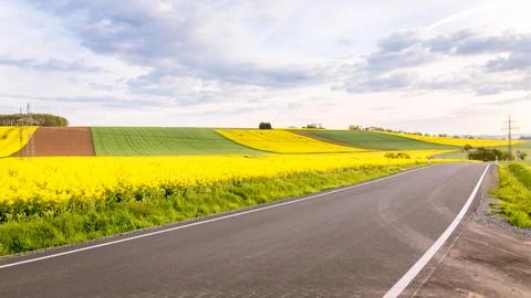 Rapeseed fields in Germany Stock Photos