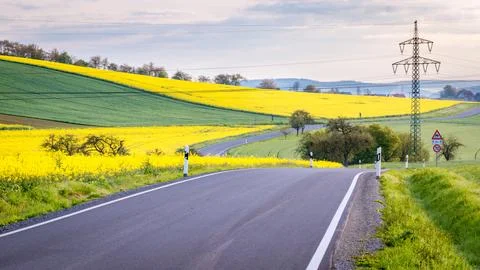 Rapeseed fields in Germany Stock Photos