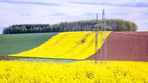 Rapeseed fields in Germany Stock Photos
