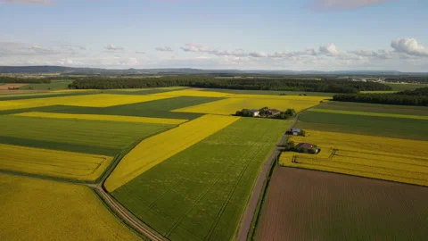 Rapeseed Fields Rapsfeld Farm Drone 스톡 동영상 156333567