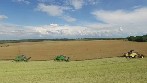 Rapeseed harvesting by combine on summer field Vídeos de archivo 125890853