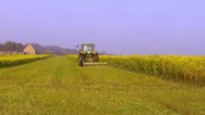 Rapeseed Harvesting To Enrich The Soil. Stock Footage