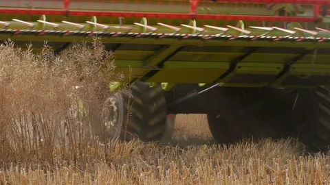 Rapeseed Harvesting Vidéo 92704960