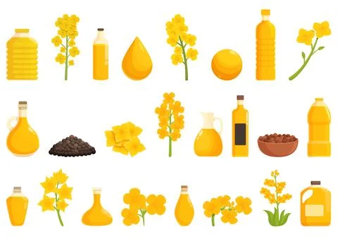 Rapeseed icons set cartoon vector. Canola flower Illustrazione stock