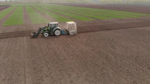 Rapeseed sowing tractor seeder selection field spring. In the background, wheat Stock Footage 129737962