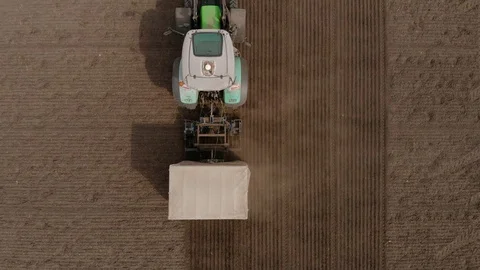 Rapeseed sowing tractor seeder selection field spring. In the background, wheat Stock Footage 129738282