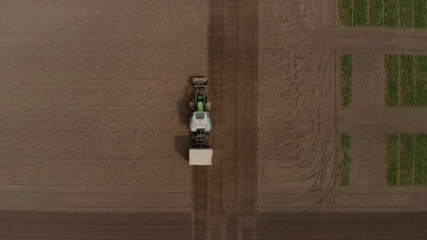 Rapeseed sowing tractor seeder selection field spring. In the background, wheat Stock Footage 129754721