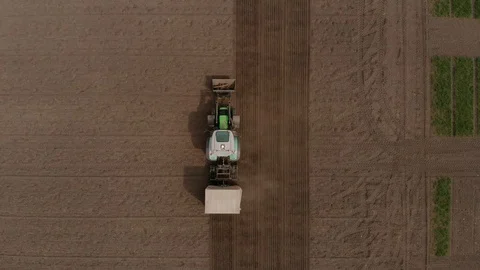 Rapeseed sowing tractor seeder selection field spring. In the background, wheat Stock Footage 129816464