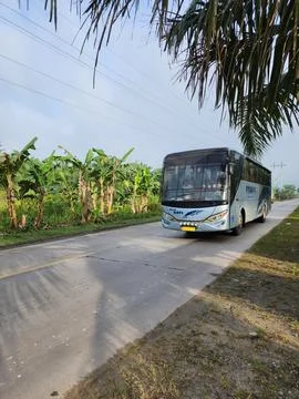 RAPI BUS Stock Photos