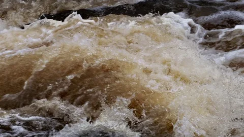 The rapid and powerful flow of the waterfall in the forest. Video stock 102747757