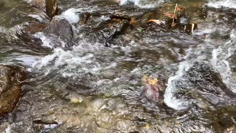Rapid and powerful water flow between large rocks. Stock-Footage 144852053