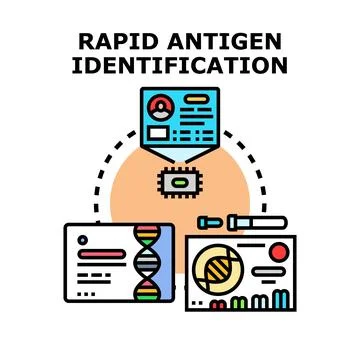 Rapid antigen identification for medical diagnostics vector concept イラスト素材