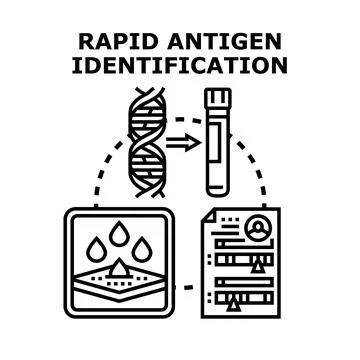 Rapid antigen identification process in medical diagnostics Stock Illustration