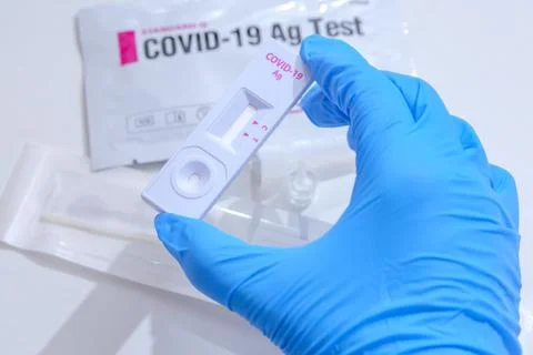 Rapid antigen test at home. Stock Photos