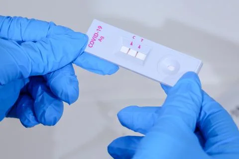 Rapid antigen test at home. 스톡 사진
