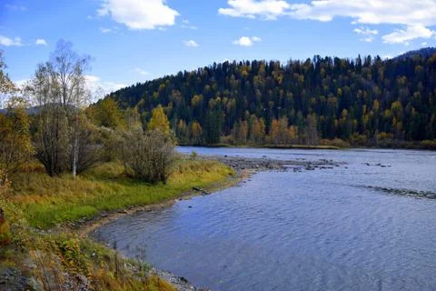 The rapid Biya river, winds along the beautiful Altai Mountains. The picture Stock Photos