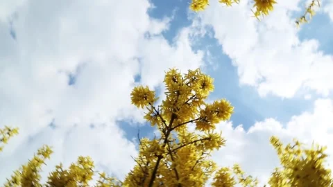 Rapid circular movement of the sky, yellow sheets on the eyelids.. Stock Footage 246940375