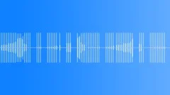Rapid Computer Digital Text 08Sound Effect