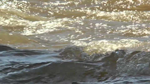 The rapid course of the Mongolian River Tuul Gol. Stock Footage 304170194