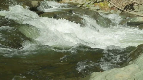 The rapid course of the mountain river and rapids Vidéo 121018594