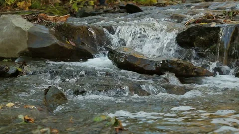The rapid course of the mountain river and rapids Vidéo 121886699