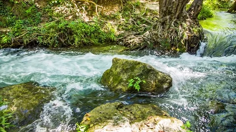 Rapid course of the mountain river, around the forest 스톡 동영상 79978731