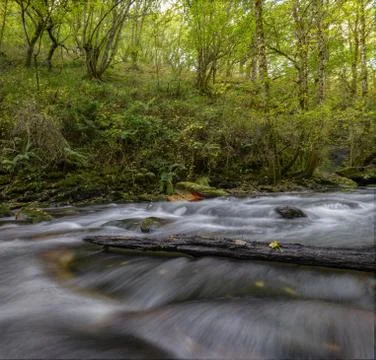 Rapid current in laminar flow in a river Stock Photos