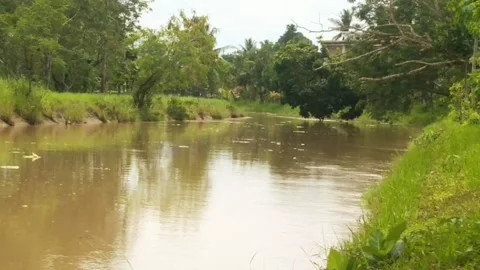 The Rapid Current of River Water Stock Footage 231271142