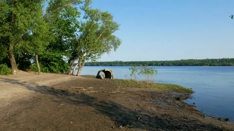 A rapid decrease in the water level in the Dnipro River 库存影片 243122911