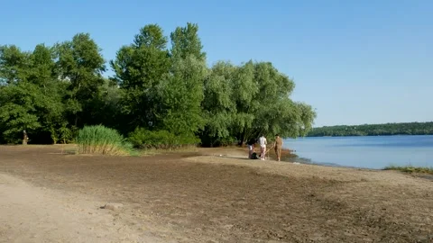 A rapid decrease in the water level in the Dnipro River 库存影片 243175886