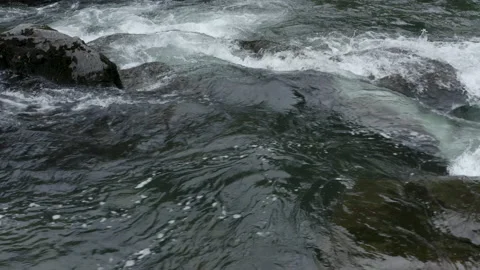 Rapid flow of crystal clear water in a mountain river Stock Footage 137874802