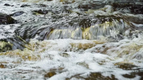 The rapid flow of a mountain river flowing in a wooded area. Forest river. Stock Footage 282086359
