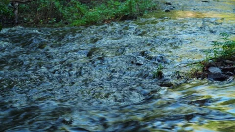 The rapid flow of a mountain river flowing in a wooded area. Video stock 283083345