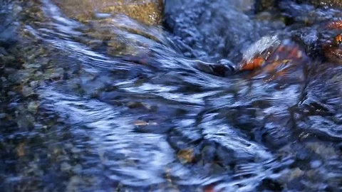 Rapid flow in mountain river. Stock Footage 79344005
