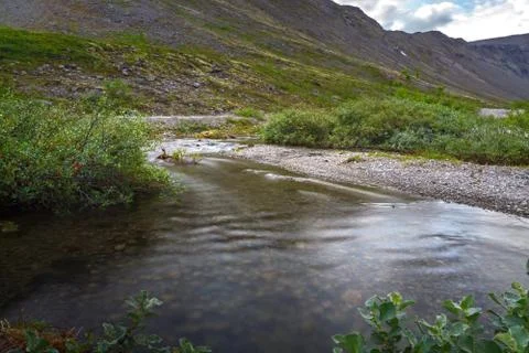 The rapid flow of the mountain river. Stock Photos