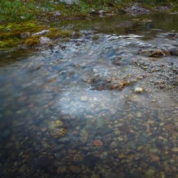 The rapid flow of the mountain river. Stock Photos
