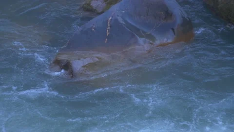 Rapid flow of a mountain river in a rocky gorge in the mountains Video stock 190755762